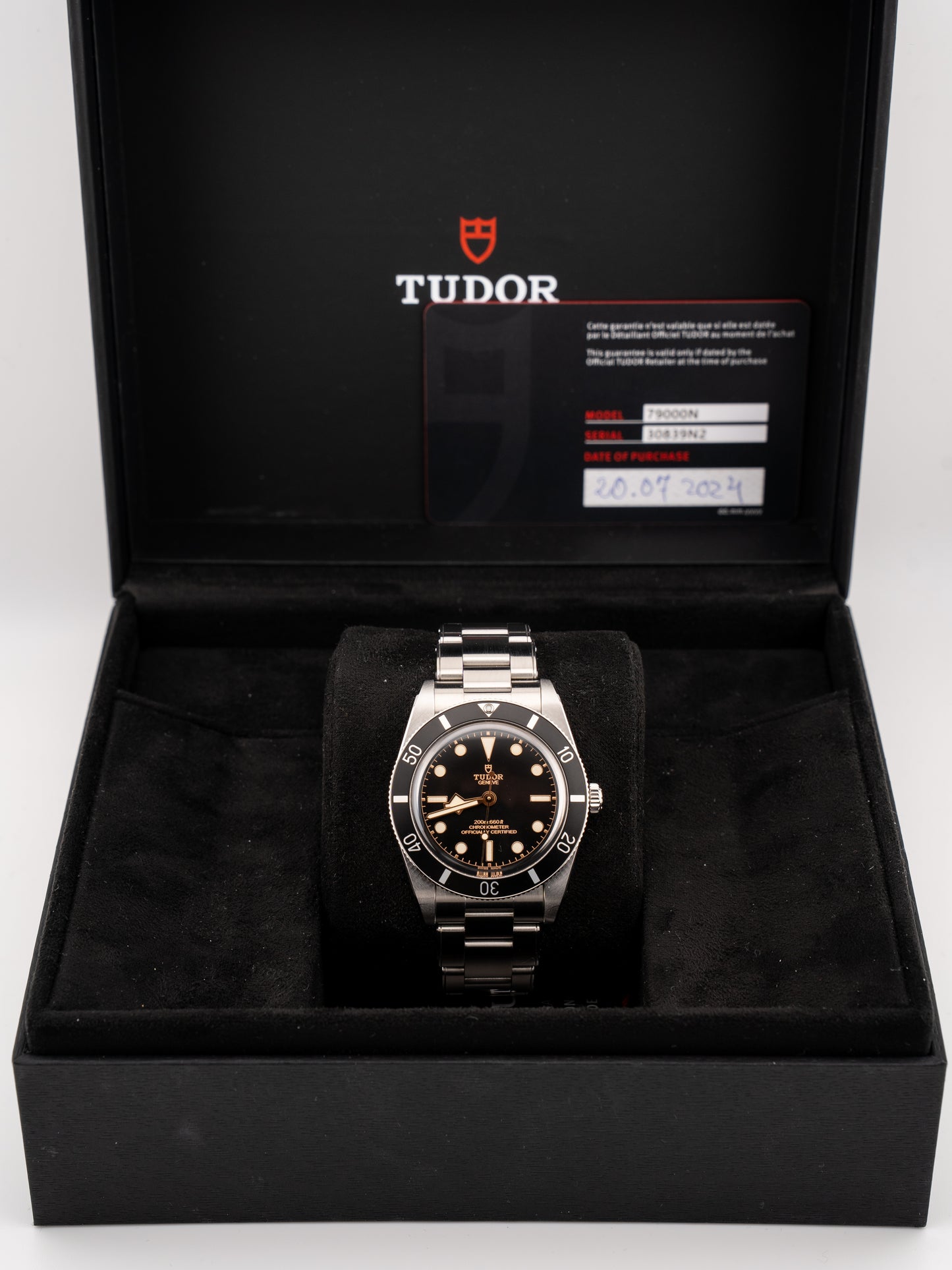 Tudor Black Bay 54 79000N
